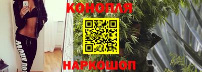 крисы Ирбит