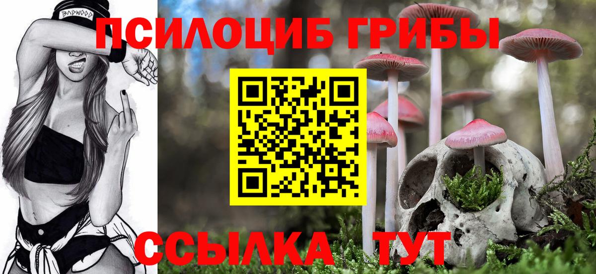 Псилоцибиновые грибы мицелий  Вход с VPN  Псилоцибиновые грибы Magic Shrooms  Луга 