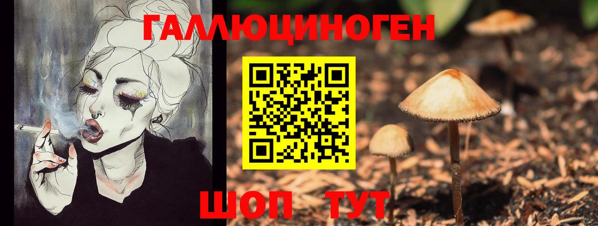 Псилоцибиновые грибы Psilocybine cubensis Луга